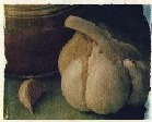 Garlic - Polaroid image transfer